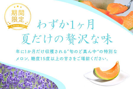 【2026年発送】中富良野産赤肉メロン2玉（3.2kg～4.0kg）【BZ-001】