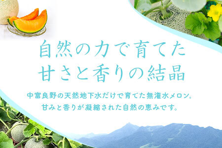 【2026年発送】中富良野産赤肉メロン2玉（3.2kg～4.0kg）【BZ-001】