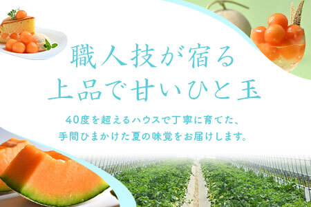 【2026年発送】中富良野産赤肉メロン2玉（3.2kg～4.0kg）【BZ-001】
