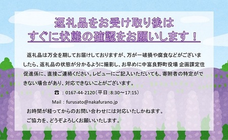 もちもちトウモロコシ紫　12本　中富良野産【AW-010】
