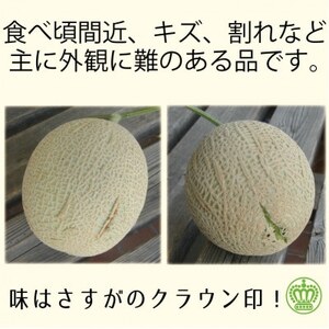 【訳あり品】クラウンメロン　6玉　～ご家庭用に～_果物・フルーツ メロン  めろん_【配送不可地域：離島・北海道・沖縄県】【1416445】