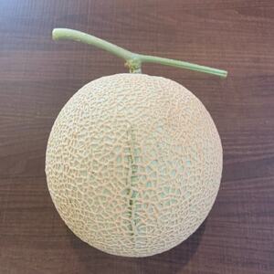 訳あり静岡温室マスクメロン1個入_果物・フルーツ メロン  めろん_【配送不可地域：離島・北海道・沖縄県】【1438406】