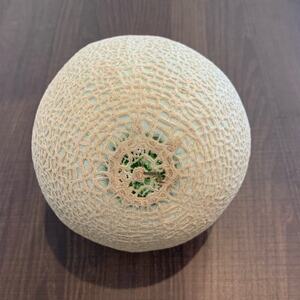 訳あり静岡温室マスクメロン1個入_果物・フルーツ メロン  めろん_【配送不可地域：離島・北海道・沖縄県】【1438406】