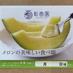 静岡温室マスクメロン2個入(化粧箱入)_果物・フルーツ メロン  めろん_【配送不可地域：離島・北海道・沖縄県】【1438671】