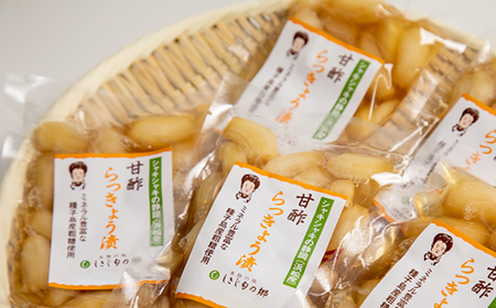 らっきょう甘酢漬け 静岡県浜松産 110g×5袋セット_惣菜・加工品 漬物 _【配送不可地域:離島】【1482872】