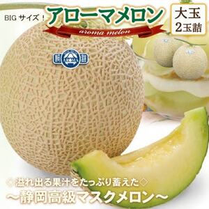 【通年出荷】アローマメロン(大玉)　2玉詰【静岡高級マスクメロン】_果物・フルーツ メロン  めろん_【配送不可地域：離島・北海道・沖縄県】【1541722】