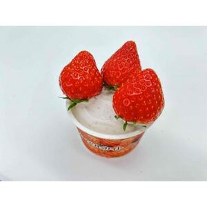 【スターナイト＆きらぴ香いちごアイス6個】【無着色・無香料】_菓子・スイーツ アイス・ジェラート  _【配送不可地域：離島】【1522912】