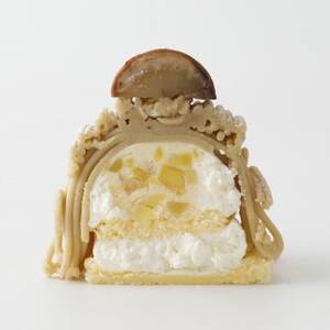 【先行予約2025年9月より順次発送】玉華堂の和栗モンブラン 4個入_菓子・スイーツ ケーキ  _【配送不可地域：離島】【1572507】