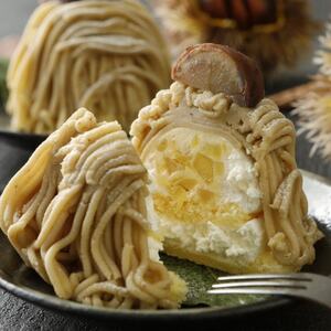 【先行予約2025年9月より順次発送】玉華堂の和栗モンブラン 2個入_菓子・スイーツ ケーキ  _【配送不可地域：離島】【1572509】