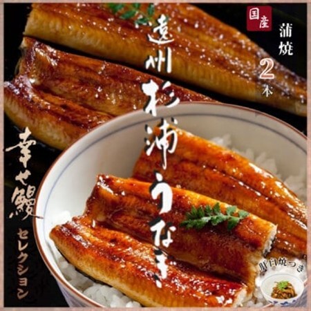 【1本230g以上】遠州杉浦うなぎ 蒲焼セット　蒲焼2本(460g-500g)+肝白焼+タレ_魚介・海産物 うなぎ  ウナギ 鰻_【配送不可地域：離島】【1604148】 9,000円