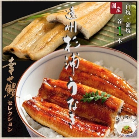 【1本210g以上】遠州杉浦うなぎ 白蒲セット 白焼1本+蒲焼1本(440g-490g)肝白焼+タレ【配送不可地域：離島】【1605194】