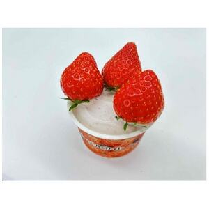 【冷凍いちごの在庫限り!】【いちごアイス6個＆冷凍いちご約1kg】【配送不可地域：離島】【1640805】