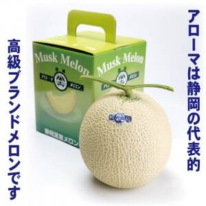 【毎月定期便】アローマメロン1玉(約1.0kg以上/玉)【静岡高級マスクメロン】　全5回【配送不可地域：離島・北海道・沖縄県】【4071904】