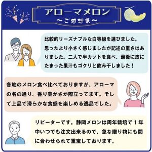 【毎月定期便】アローマメロン1玉(約1.0kg以上/玉)【静岡高級マスクメロン】　全5回【配送不可地域：離島・北海道・沖縄県】【4071904】