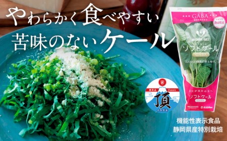 087 ソフトケールｇａｂａ 5袋 冷蔵 定期便 3回 静岡県磐田市 ふるさと納税サイト ふるなび