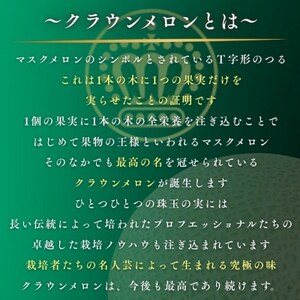 【組合直送】静岡が誇る温室高級マスクメロン「クラウンメロン」1玉(約1.3kg)9月～2月【1660347】