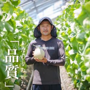 【組合直送】静岡が誇る温室高級マスクメロン「クラウンメロン」1玉(約1.3kg)9月～2月【1660347】