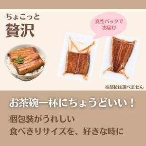 【訳あり】静岡県産 うなぎ蒲焼 カット 65g×3パック 計195g (タレ・山椒付き) 国産【配送不可地域：離島】【1668183】
