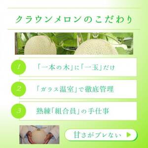 【2026年5月中旬より発送】磐田市 ねらい目 クラウンメロン 白等級 約1.3kg×2個【配送不可地域：離島・北海道・沖縄県】【1640730】