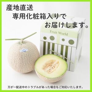 【2026年5月中旬より発送】磐田市 ねらい目 クラウンメロン 白等級 約1.3kg×2個【配送不可地域：離島・北海道・沖縄県】【1640730】