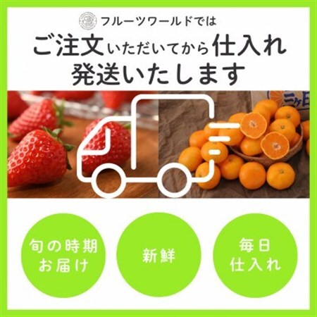 【2026年5月中旬より発送】磐田市 ねらい目 クラウンメロン 山等級 約1.3kg×1個【配送不可地域：離島・北海道・沖縄県】【1640735】