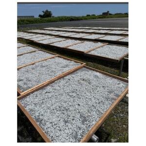 釜揚げしらす 500g 化粧箱入り【配送不可地域：離島】【1677698】