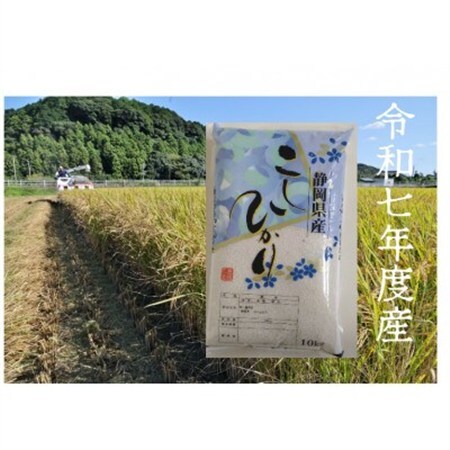 【毎月定期便】静岡こしひかり(精米)10kg×1袋全3回【4076036】
