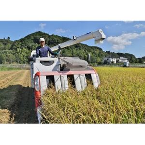 【毎月定期便】静岡こしひかり(精米)5kg×1袋全3回【4076144】