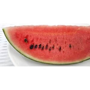 【先行受付/2026年8月上旬より発送】1玉!夏を思いっきり楽しむ!シャリ感抜群!スイカ【ぷちっと】【配送不可地域:離島・北海道・沖縄県】【1685557】