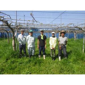 【限定30口】梨『幸水』5kg　2026年8月上旬より発送予定【配送不可地域：離島】【1719699】