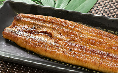 【ふるなびWEEK対象】中遠加工場のうなぎ長蒲焼 2食セット_鰻 うなぎ ギフト_FN-Limited-PR【配送不可地域:離島】【1414981】