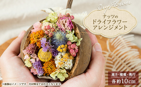 ナッツのドライフラワーアレンジメント_花・観葉植物  花 _【1418477】