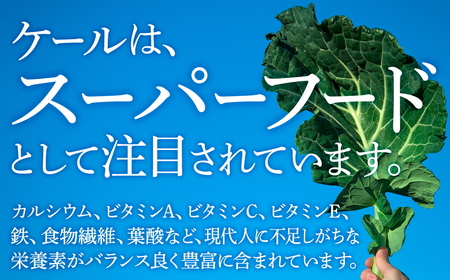手軽に野菜摂取!【無添加 ケールまるごと100%青汁 原材料 静岡県磐田市産 有機栽培】_ケール 青汁 無添加 有機栽培 野菜 ジュース 人気 おすすめ 送料無料 贈答 ギフト プレゼント 手軽 健康_【1419792】