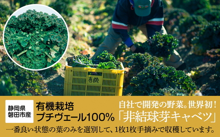 野菜でカルシウム!【無添加 プチヴェール(R)100%青汁 原材料 静岡県磐田市産 有機栽培】_青汁 あおじる あお汁 青汁プチヴェール プチヴェール 100% 無添加 有機栽培 国産 手軽 飲みやすい 野菜 飲料 ドリンク カルシウム ビタミン 送料無料_【1419793】