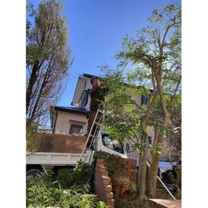 【磐田市限定】お庭のお手入れ_庭 手入れ お手入れ 庭木 にわ 庭師 剪定 庭木 草刈り 草取り 草むしり 樹木 代行 作業 除草作業 農地 空き家 休耕田 田畑 クーポン券 静岡県 磐田市 限定 磐田市限定 実家 送料無料_【1418437】