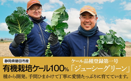 血圧対策+手軽に野菜摂取!【無添加 ケールまるごと100%青汁 原材料 静岡県磐田市産 有機栽培】【1419788】