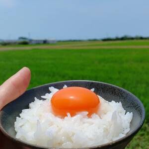 純系名古屋コーチン卵40個入り　卵かけご飯セット【配送不可地域：離島】【1427144】
