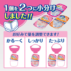 a19-048 パパッとライス やんわかごはん こしひかり