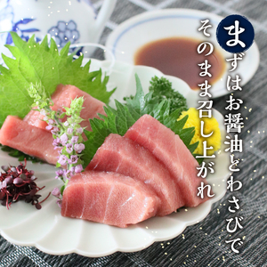 a60-021　訳あり【定期便 6回隔月でお届け】南鮪・刺身・中トロ(約700g)  訳あり OR FN-SupportProject OR 増量 OR 年末企画 訳あり