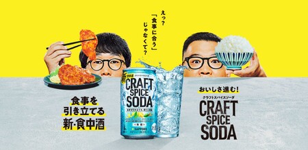 T0078-1705 【定期便5回】サッポロ クラフトスパイスソーダ 500ml×24本