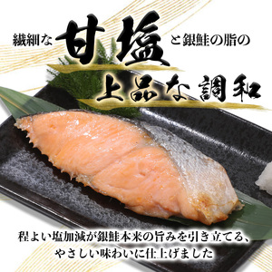 a10-1008　銀鮭 甘塩 10切入（個包装真空パック）