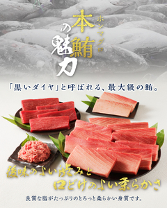 b100-071　天然本まぐろ 南まぐろ食べ比べセット 4回お届け【定期便】