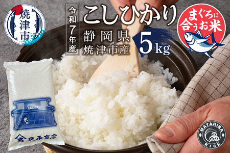a13-128　令和７年産　マグロによく合うお米 コシヒカリ 白米5kg