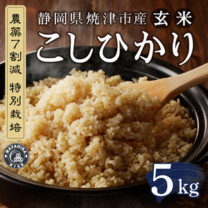 a15-696　令和７年産 農薬7割減 特別栽培 コシヒカリ 玄米 5kg