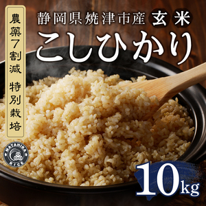 a40-107 新米 令和7年産 農薬7割減 特別栽培 コシヒカリ 玄米 10kg(5kg×2袋)