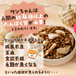 a16-135 わんこ様用8点セット