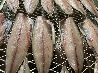 a15-669　【焼津ひもの食堂】焼いてあるとろさばひもの10枚