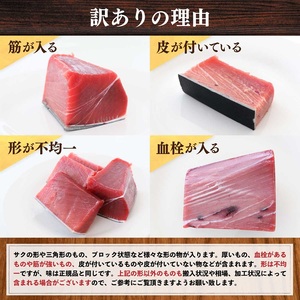 a10-1155 訳あり まぐろ専門店 天然南マグロ 赤身 1kg