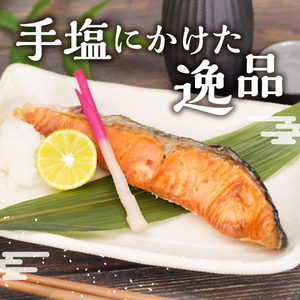 a13-093　 訳あり 切身 不揃い 塩銀鮭 約1.6kg