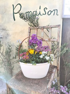 a10-1174 季節のおまかせ寄せ植えバスケット